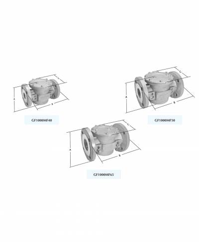 GF1000 Series Filters